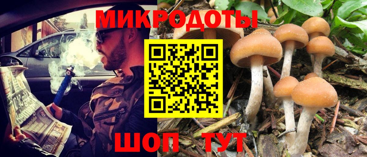 Галлюциногенные грибы прущие грибы Хасавюрт
